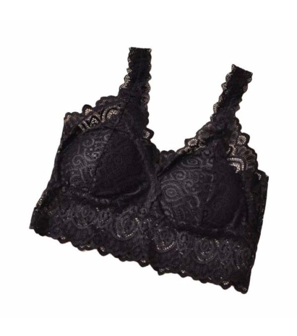Lace Floral V-Neck Vest Mesh Bra Bralette Bustier - Image 4