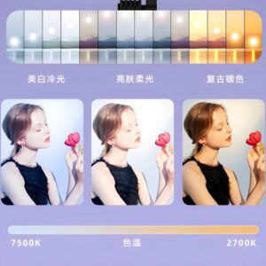 RL-16 Studio LED Rectangular Light Panel – Adjustable Color Temperature & Brightness with Remote Control