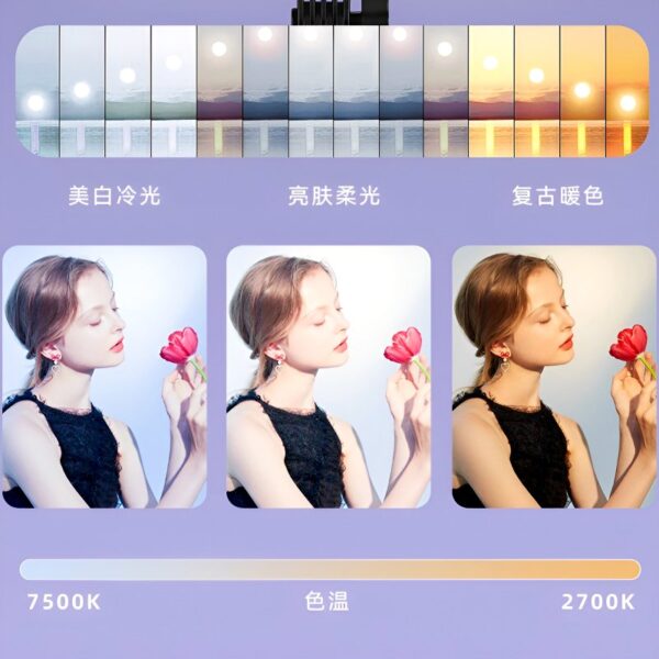 RL-16 Studio LED Rectangular Light Panel – Adjustable Color Temperature & Brightness with Remote Control